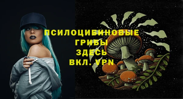 mix Пестово