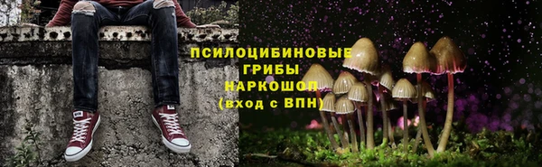 прущие крисы Алексин
