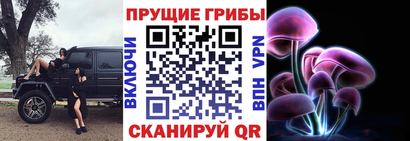 Галлюциногенные грибы ЛСД  Нефтекумск 