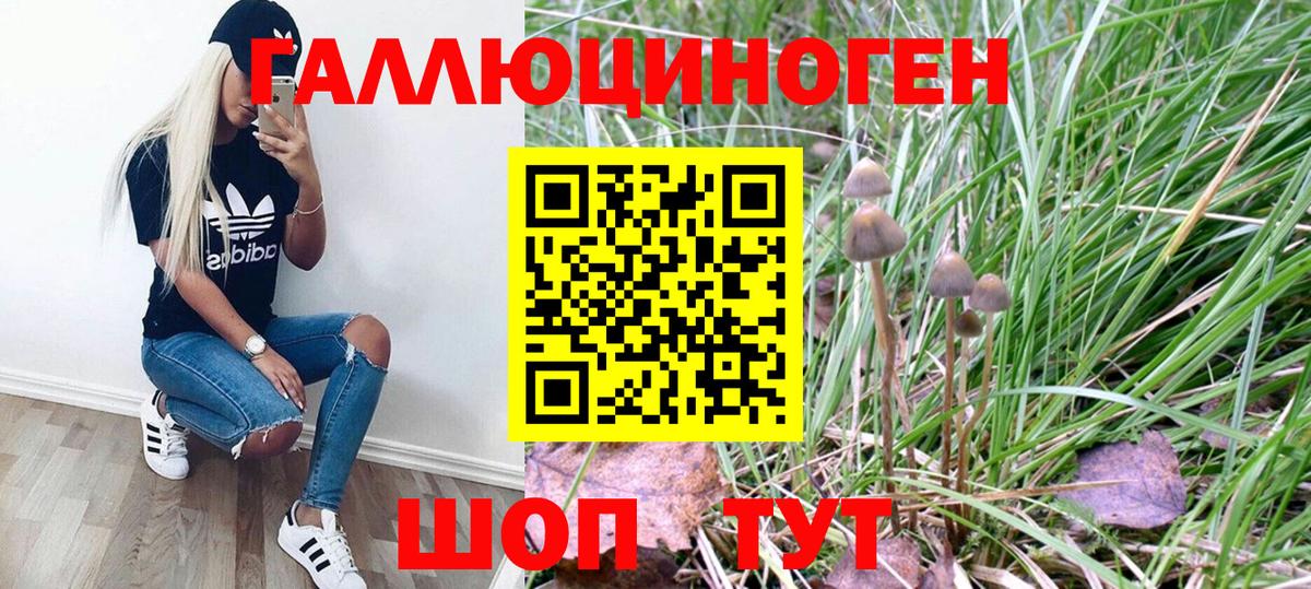 Галлюциногенные грибы GOLDEN TEACHER Нефтекумск